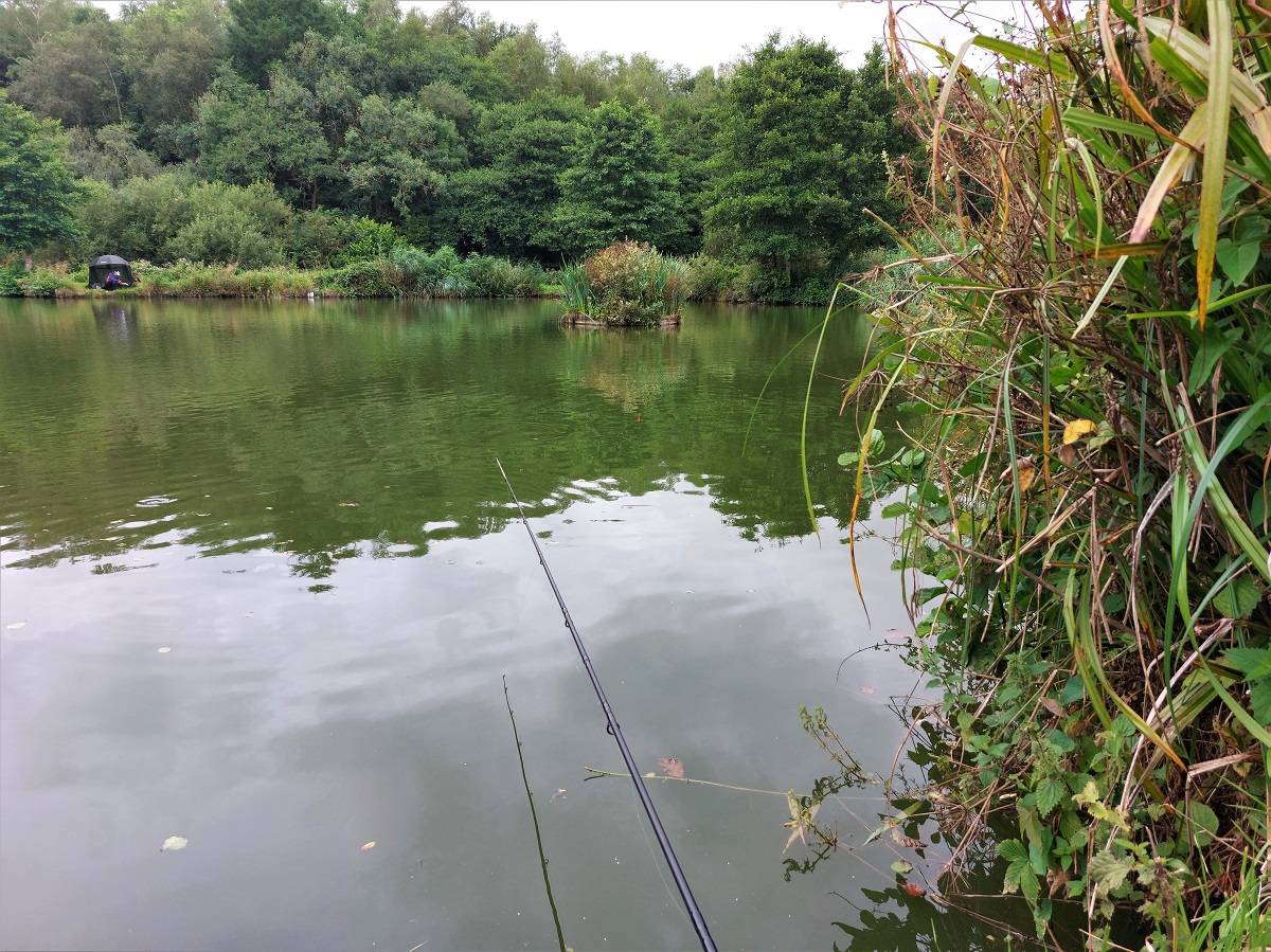 Gloomy Day At Milemead Fishery