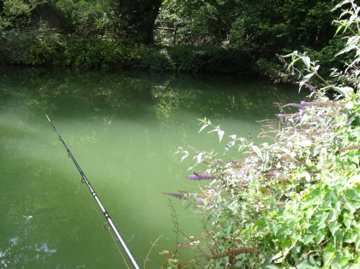Trip To Coombe Farm Fishery