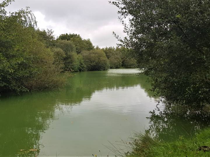 Trip To M And B Fishery