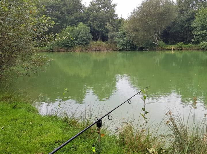 Trip To M And B Fishery